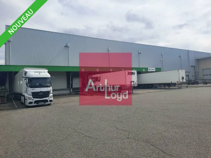 Entrepôt / Activité à louer - Cournon-D'Auvergne (63800) - 7359 m² - 30 833 €...