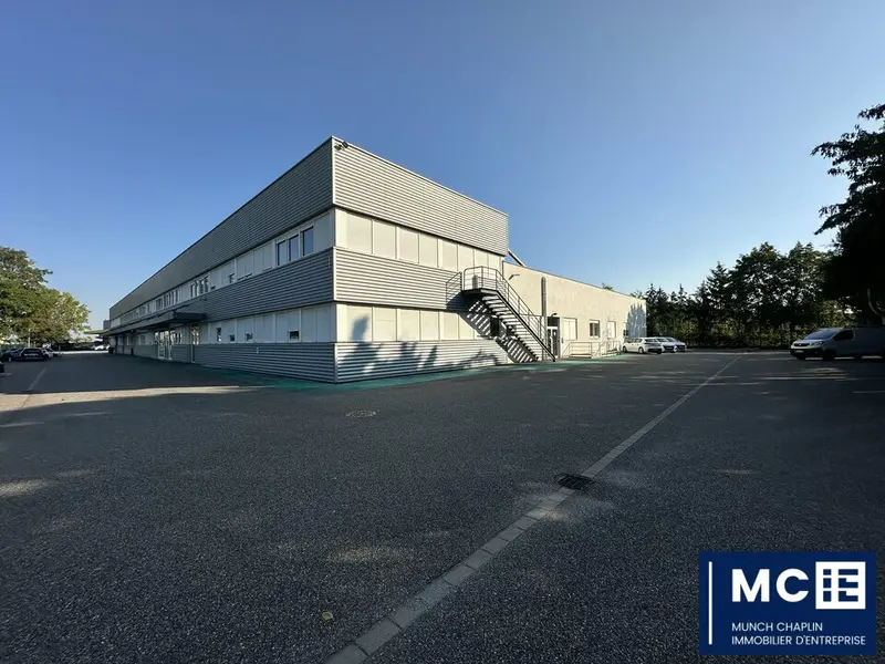 Entrepôt / Activité à louer - Mundolsheim (67450) - 695 m² - 5 617 €/mois
