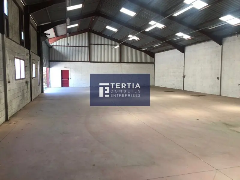 Entrepôt / Activité à louer - Teyran (34820) - 785 m² - 5 750 €/mois
