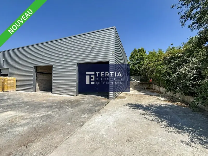 Entrepôt / Activité à louer - Montpellier (34080) - 100 m² - 1 000 €/mois