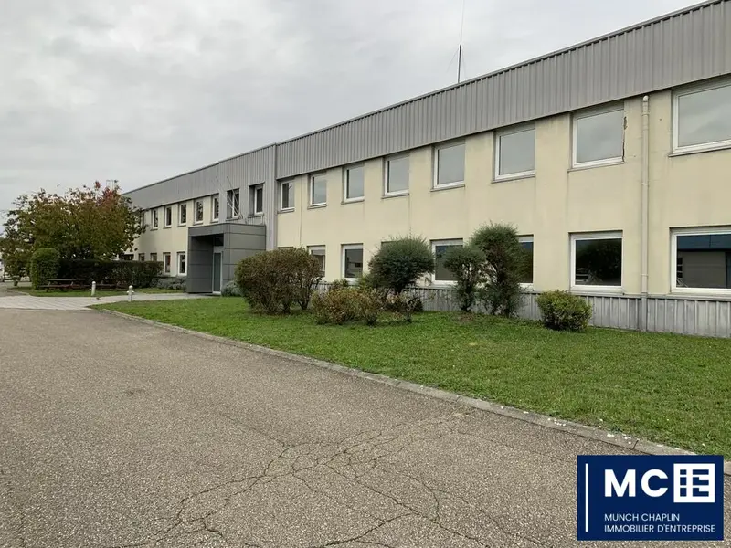 Bureau à louer - Strasbourg (67100) - 1000 m² - 12 500 €/mois