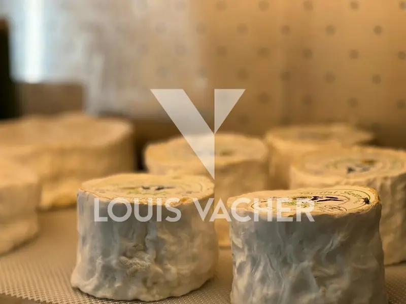 Fromagerie à céder - Bordeaux Saint-Bruno