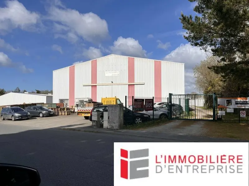 Entrepôt / Activité à louer - Vannes (56000) - 700 m² - 4 000 €/mois