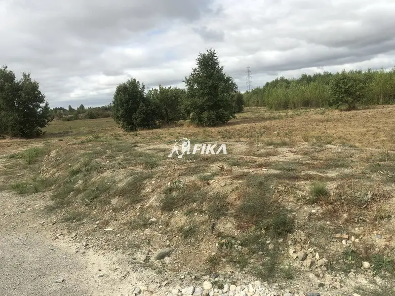Terrain à vendre - Cintegabelle (31550) - 6998 m²