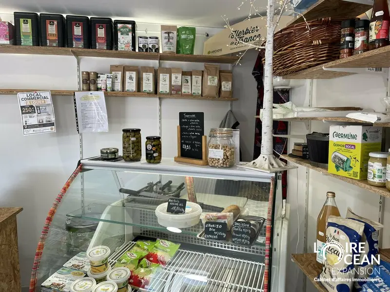 LOCAL COMMERCIAL / PROFESSIONNEL  MAUVES-SUR-LOIRE