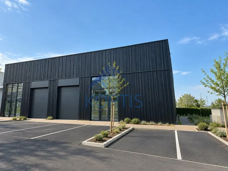 Local d'activité et bureaux de 223 m² à louer  Trévoux (01)